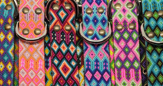 El collar perfecto para tu perro: ¡Así es como lo encuentras!