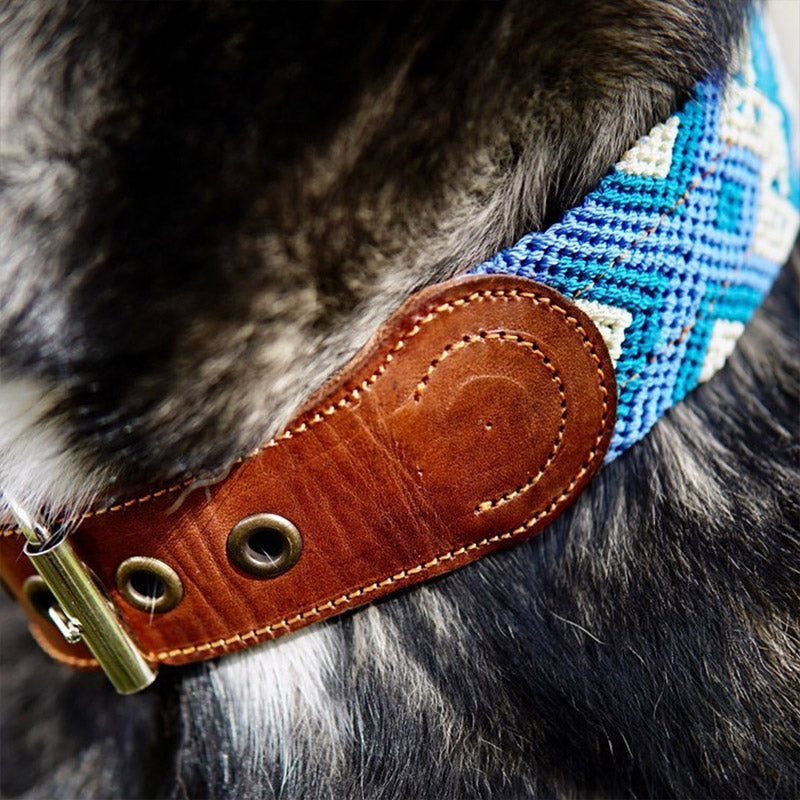 Collar "Scotty"